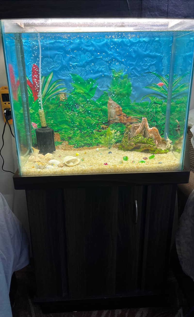 New condition 1