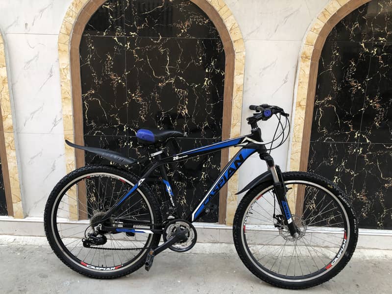 Mountain Cycle 1