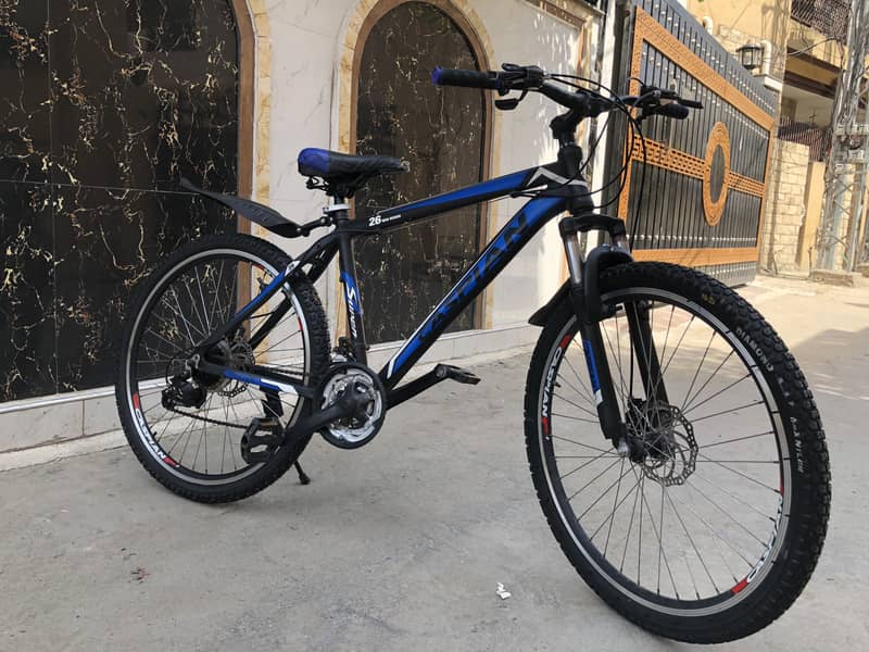 Mountain Cycle 3