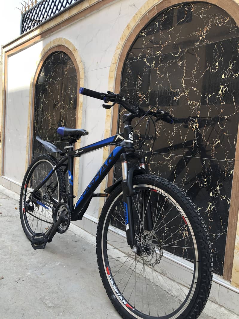 Mountain Cycle 4