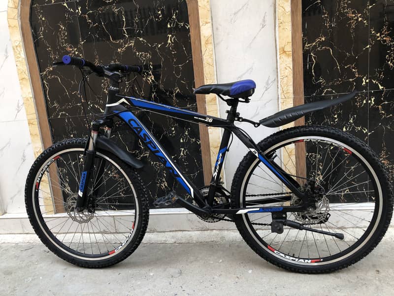 Mountain Cycle 6