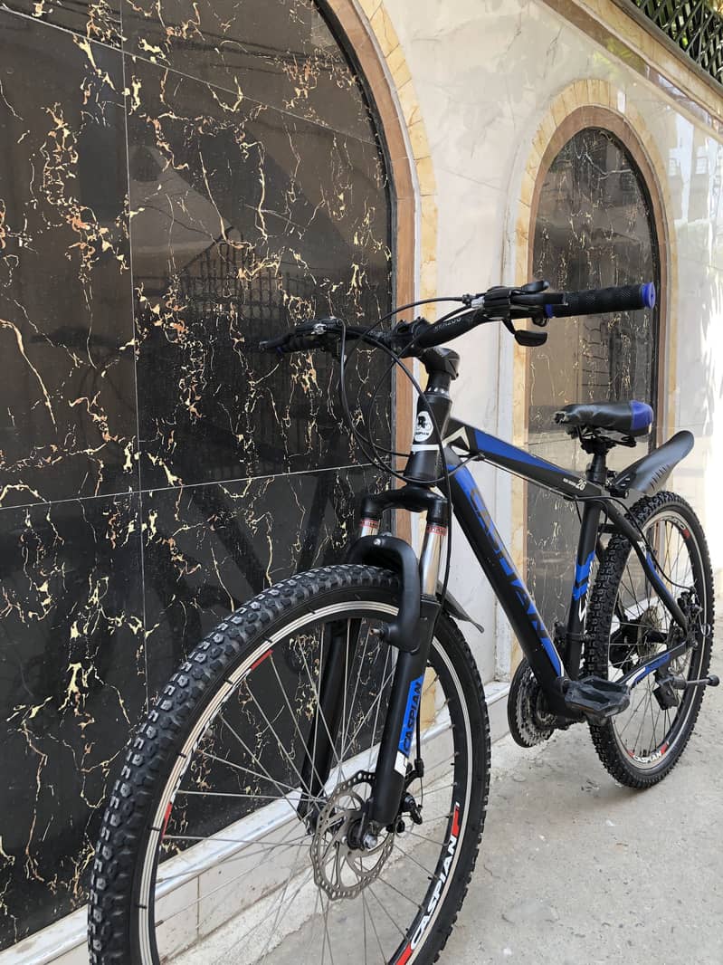 Mountain Cycle 9