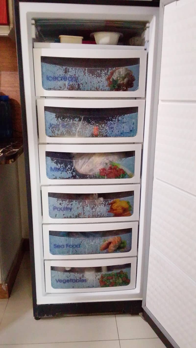 freezer 1