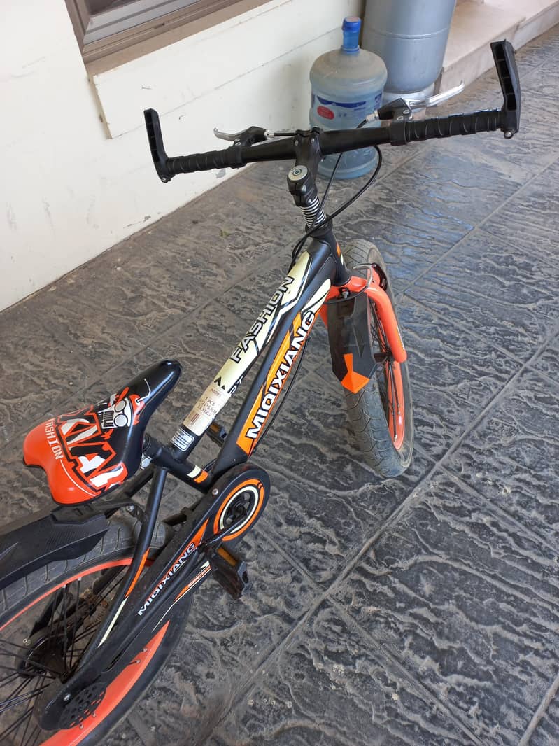 bicycle 1