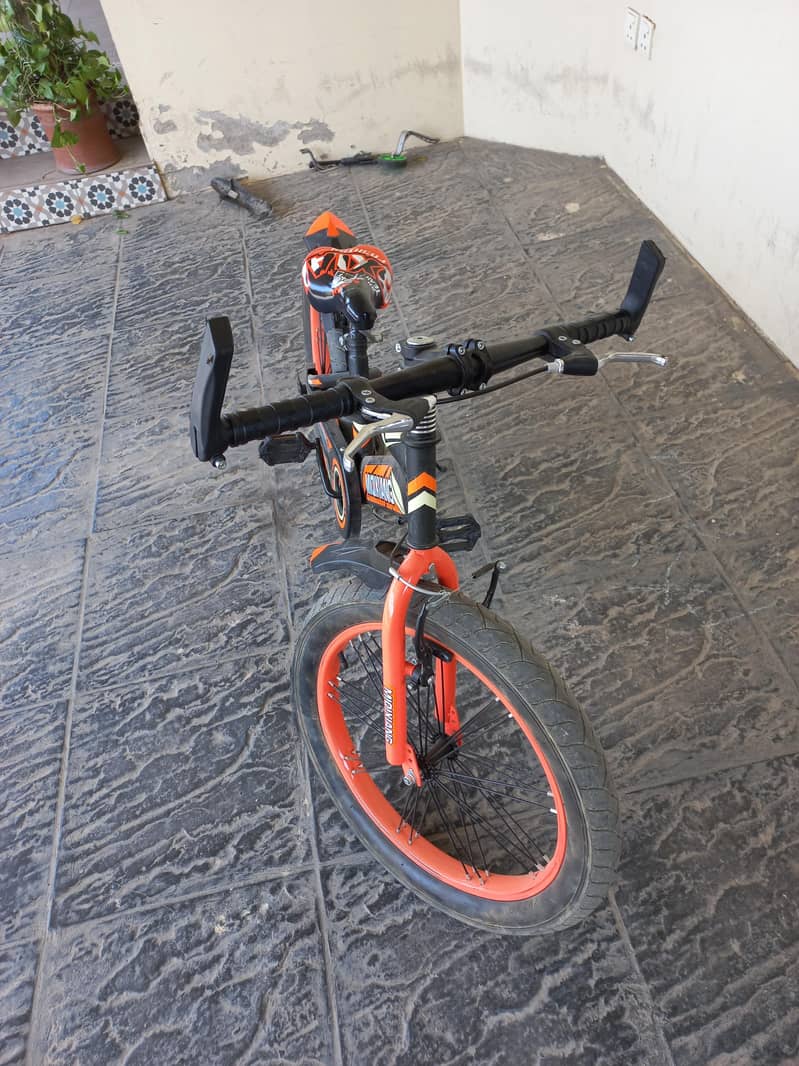 bicycle 2