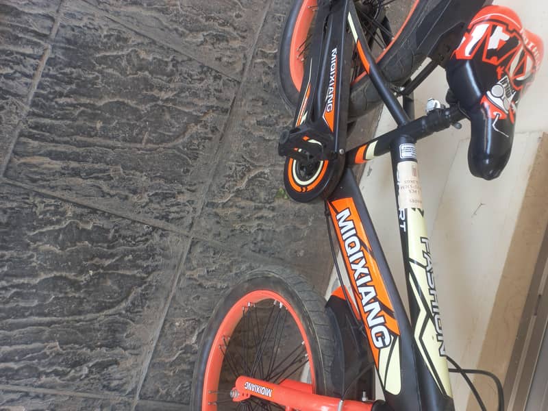 bicycle 4