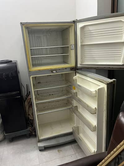 Fridge for sals