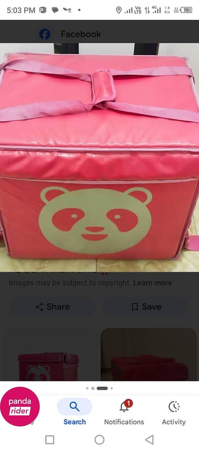 foodpanda beg
