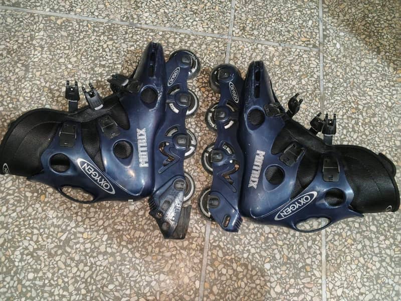 skates 3