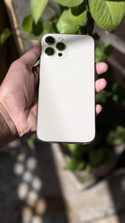 Apple iPhone 12 Pro Max