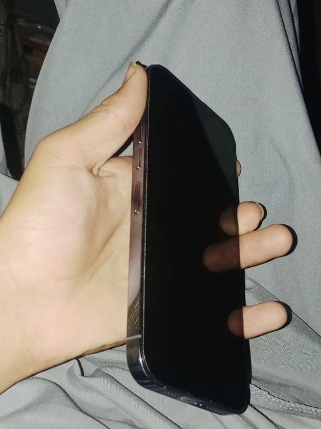 iPhone 13 Pro Max 1