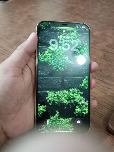 Apple iPhone 12 Pro Max