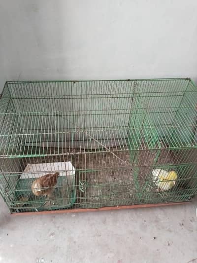 good cage for sale