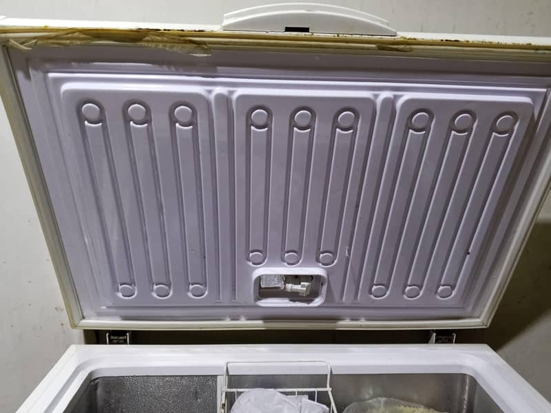 Waves D Freezer 7