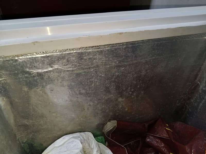 Waves D Freezer 9