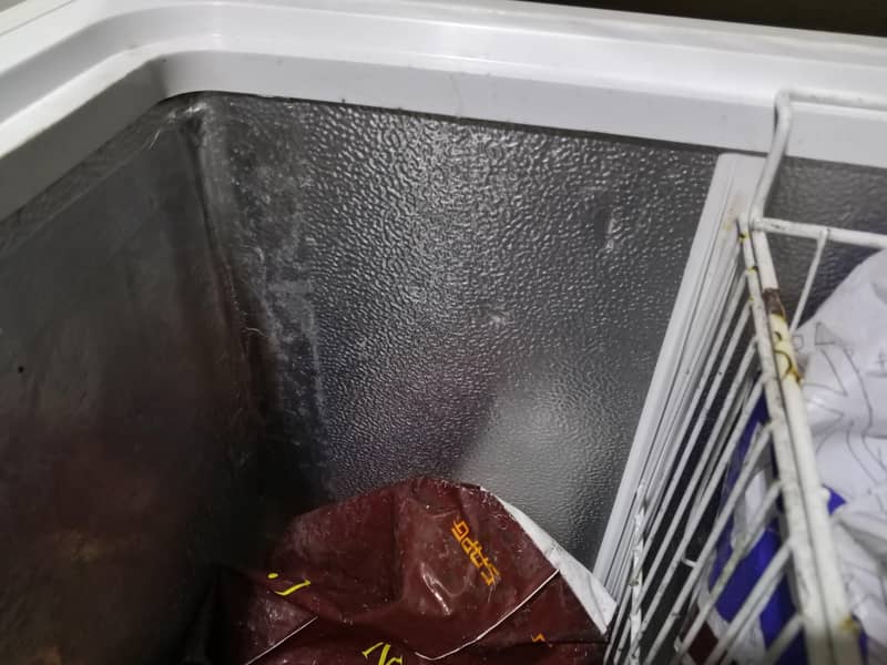 Waves D Freezer 11