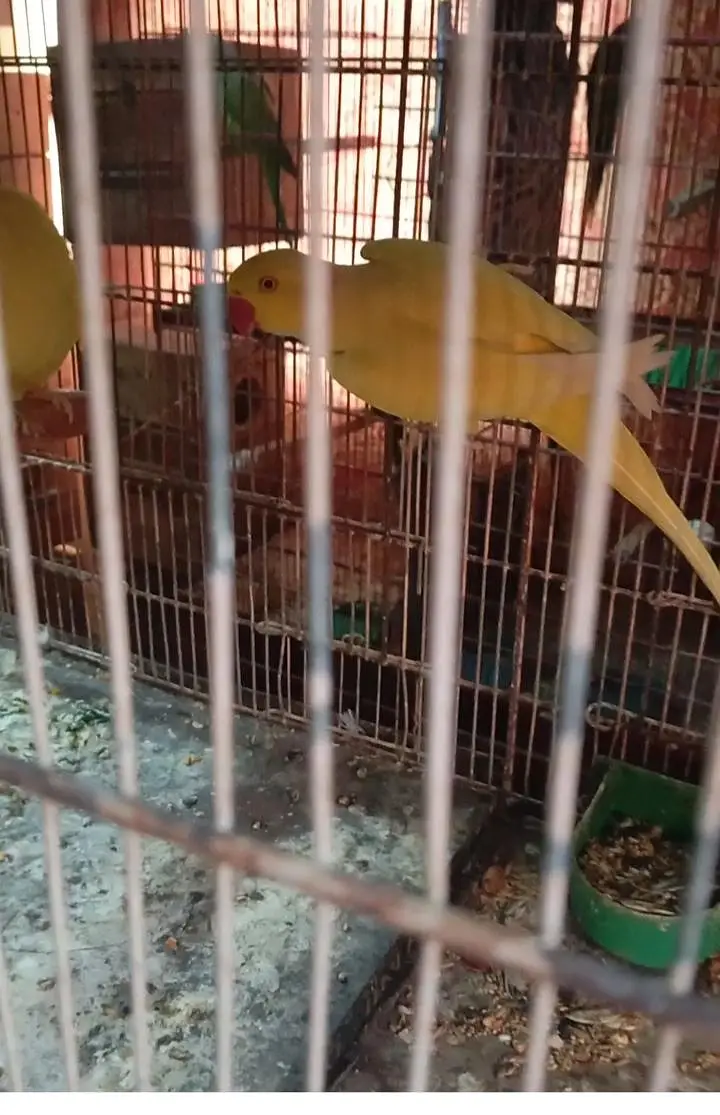 jis bhai ko apna setup sale karna hoo contact kary — photo 3