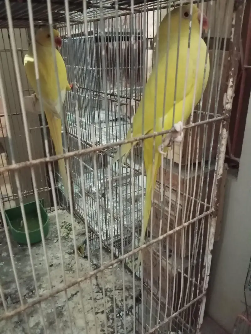 jis bhai ko apna setup sale karna hoo contact kary — photo 6