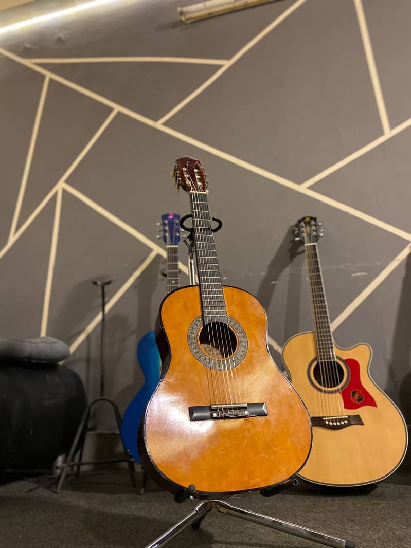Guitars 13