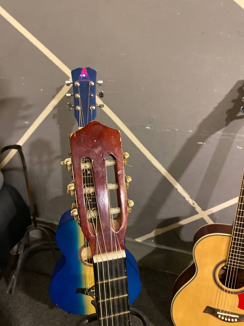 Guitars 14