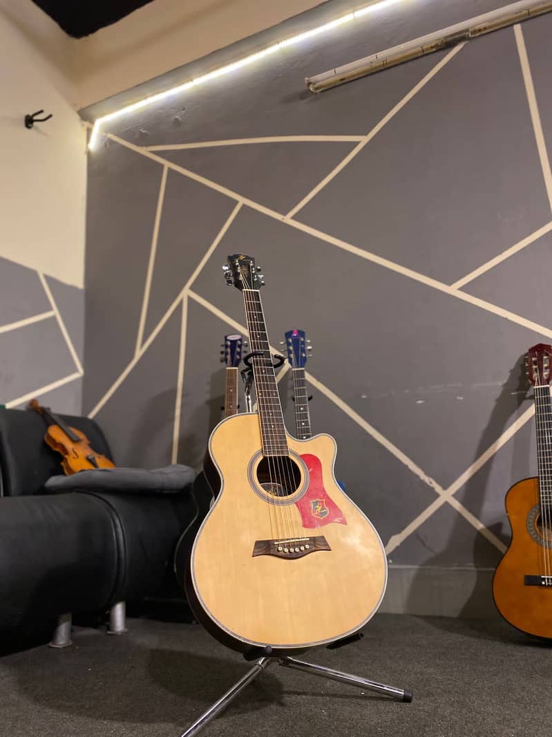 Guitars 15