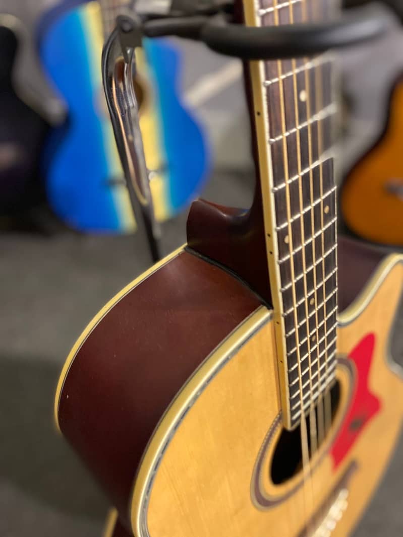 Guitars 16
