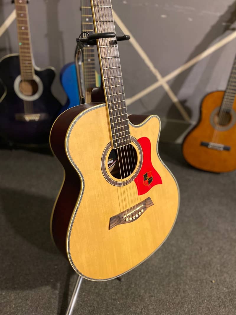 Guitars 17