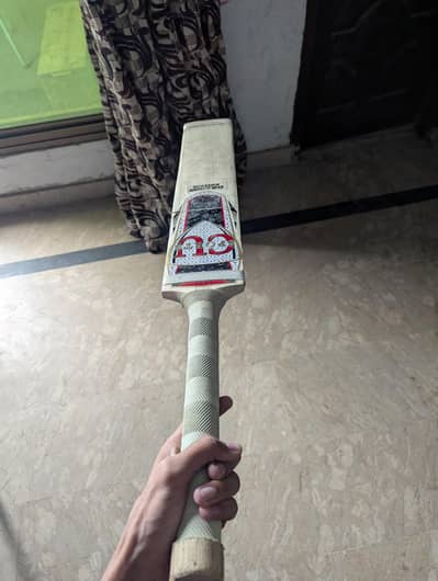 New hard ball bat