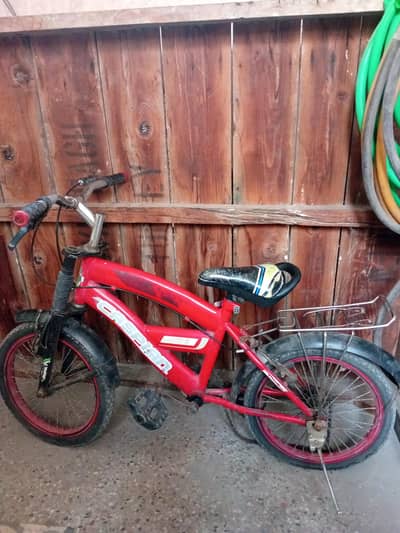 Used Bicycle 