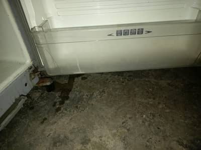 fridge use 2 season