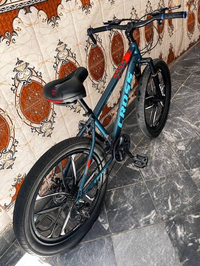 Bicycle 10/10 Condition(0_3_14_35_84_1_3_4