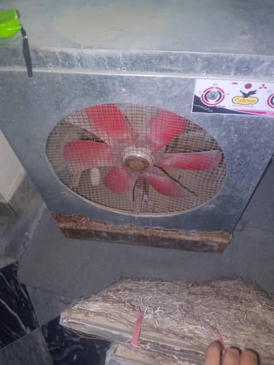Lahori Cooler