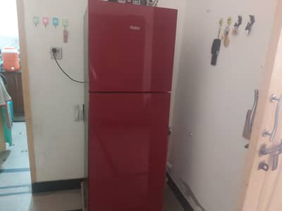 10 Cu Glass Door Fridge