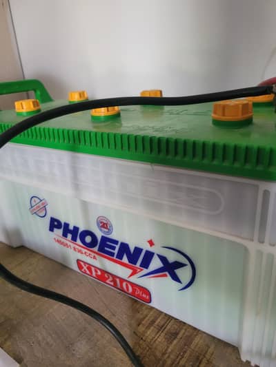 Phoenix battery 23 plates