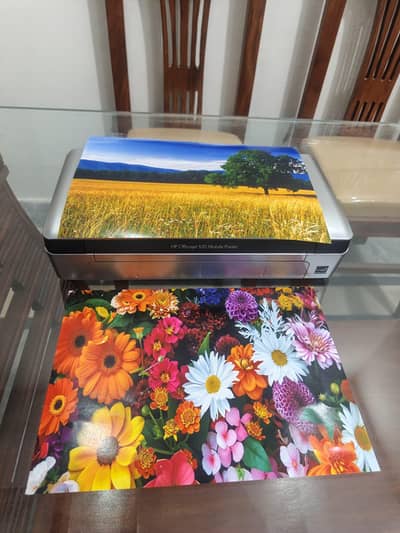 Hp wireless printer | Color & Black | Rechargeable