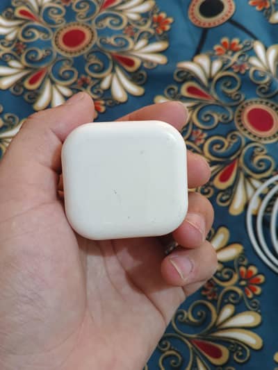 Adopter with Cable (13 Pro)