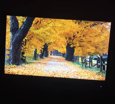 27 inch 2k 60hz Monitor Planar PXL