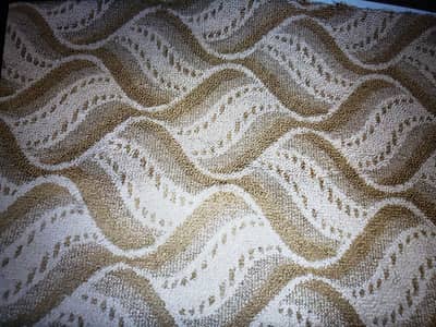 full room carpet (10×11 square. ft)