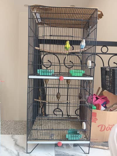 Cage for Sale