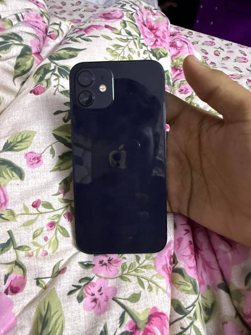 iPhone 12 0