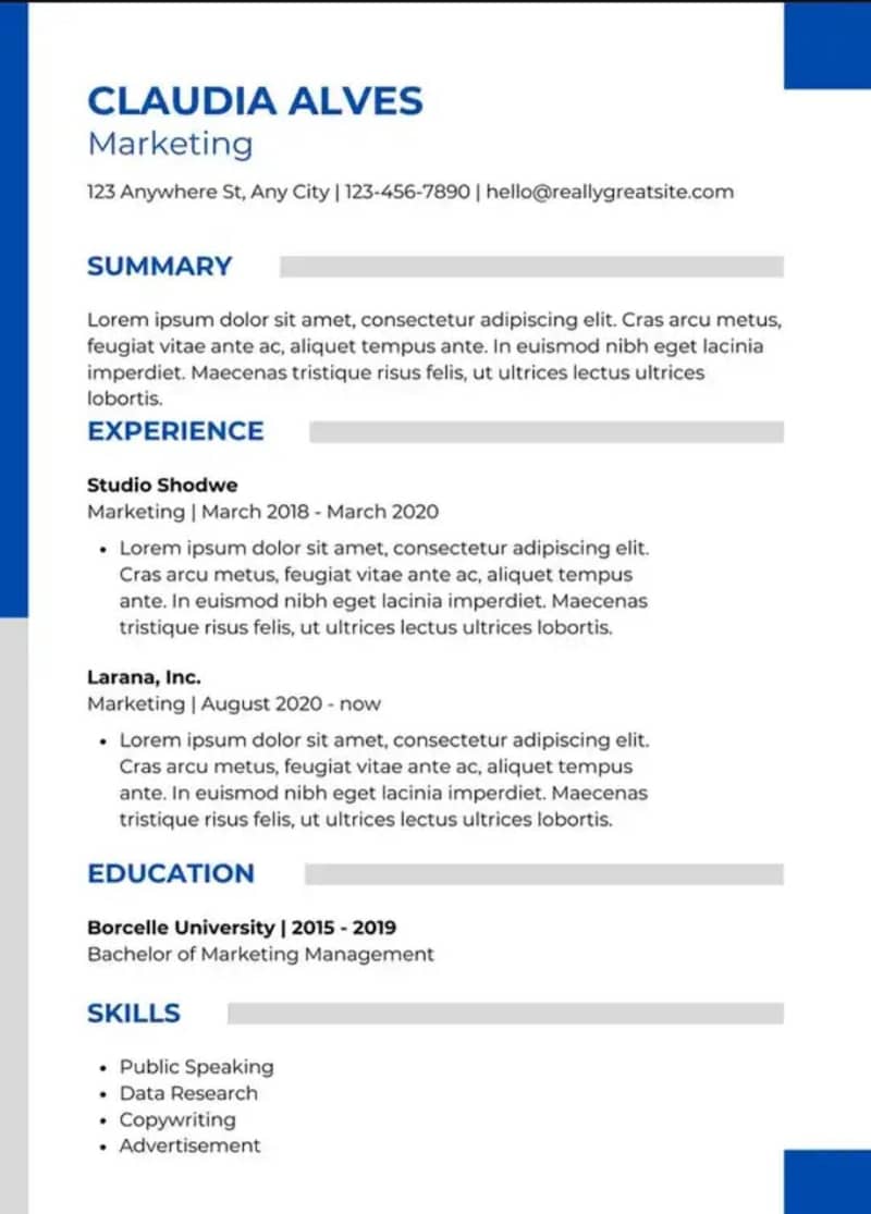 Professional CV Maker 3