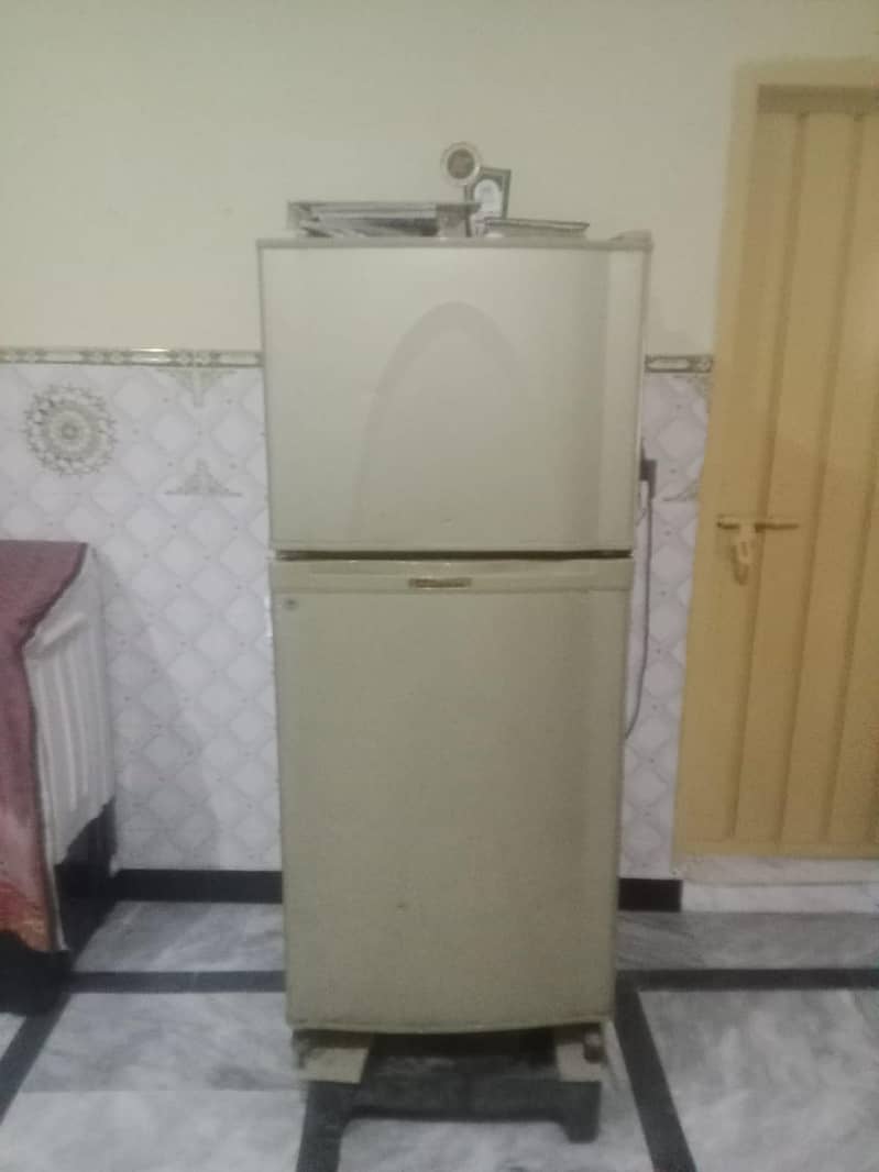 faridg 1