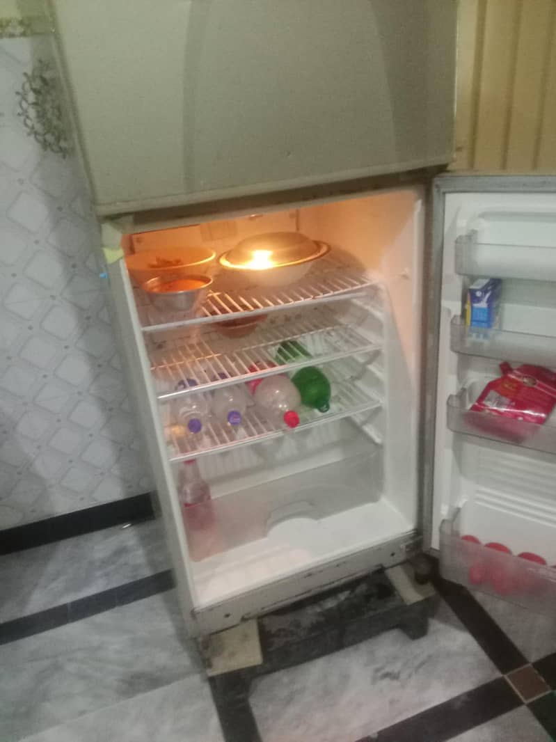 faridg 2