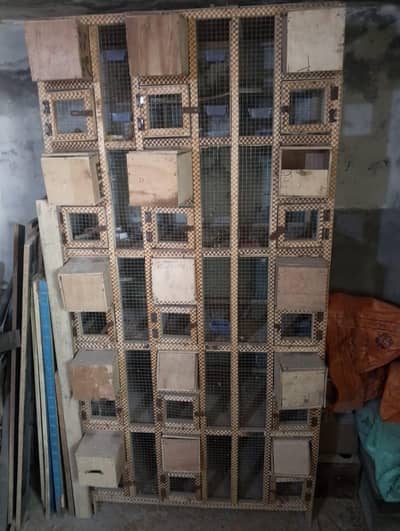 Bird Cage for Sale – Clean & Strong