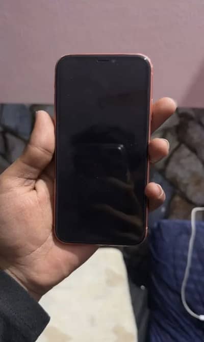 iPhone XR jv