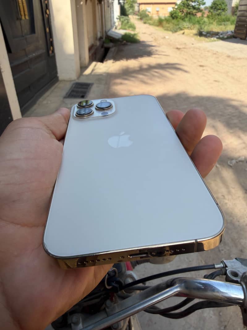 13 Pro max 3