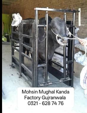 Animal Weight Scale/ Cattle Form Kanda /Cow Bakra Goat knda Vara Vasha