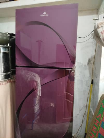 FRIDGE FULL SIZE (GLASS DOOR)