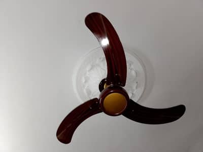 SK Fan Pairs | Fan for sale