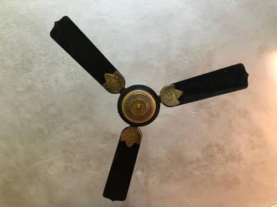 Fans for sale